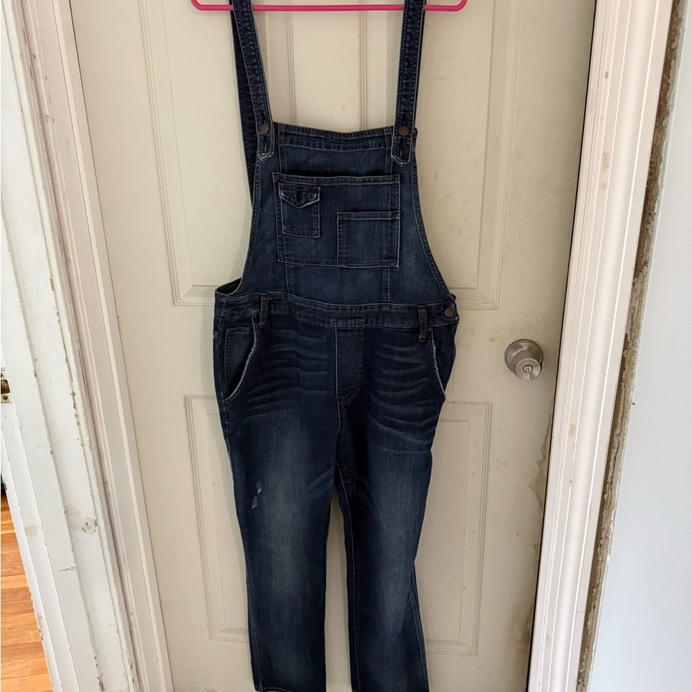 Feee People Dark Wash Denim Overalls